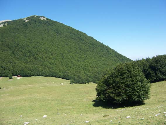 Pollino e Rotonda