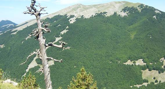 Maratea e Pollino