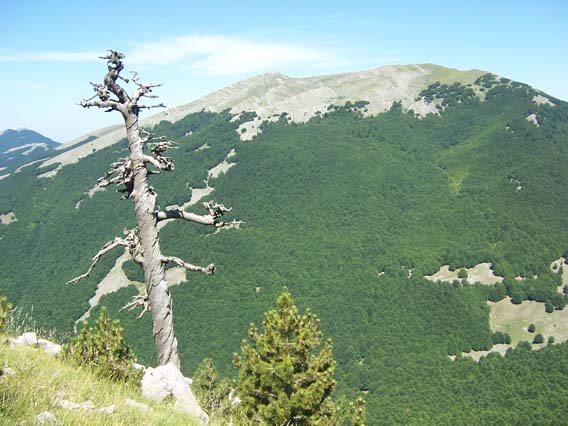 Maratea e il Pollino